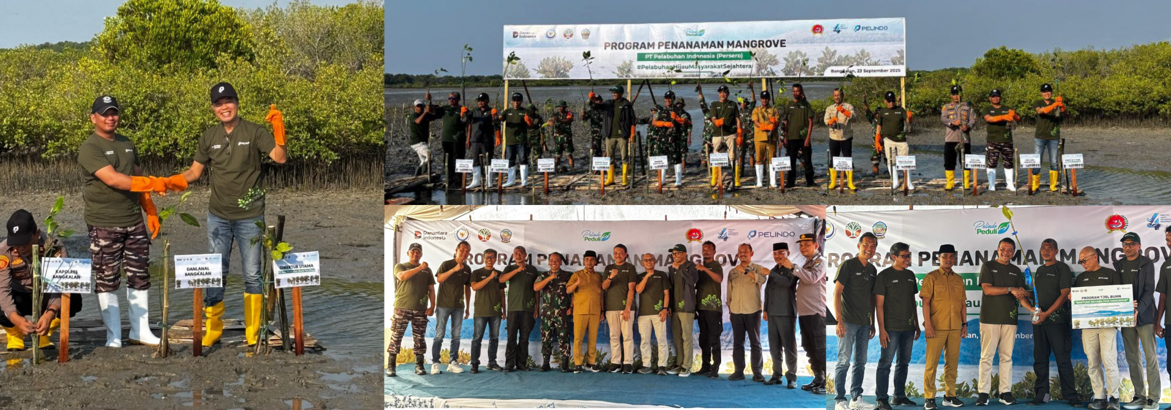 Seremoni penanaman mangrove dalam rangka Pelindo Day